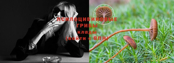 меф Белокуриха